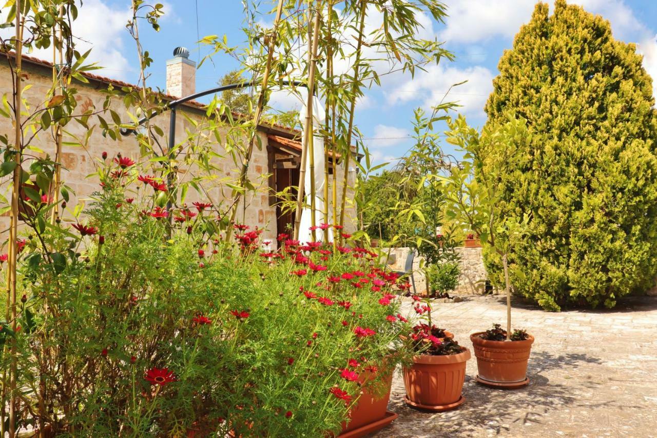 Trulli And Nature Antonelli Szoba fotó