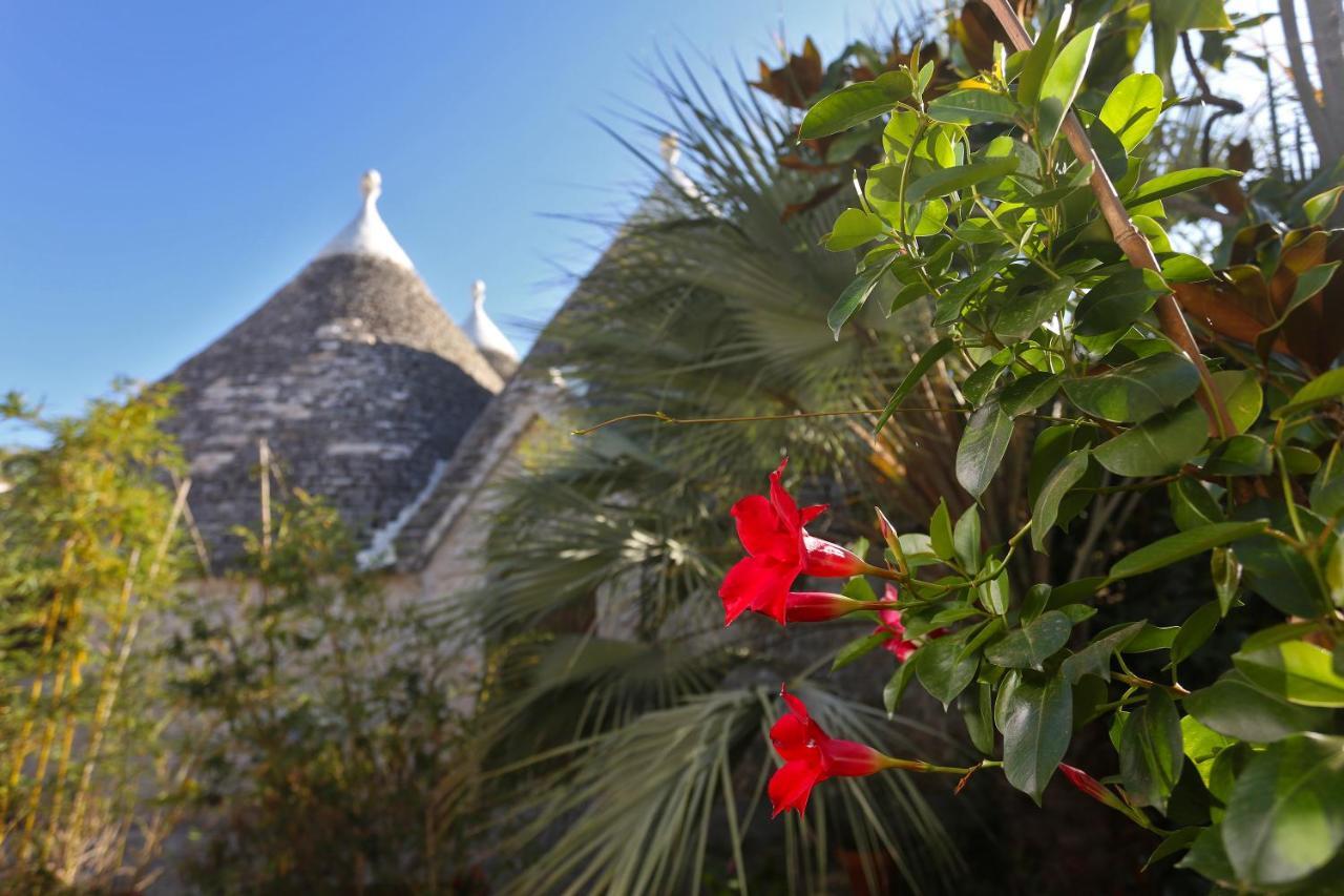 Trulli And Nature Antonelli Kültér fotó